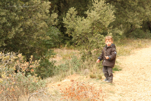 Promenade avec Robin à Luminy, Marseille