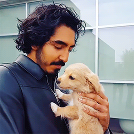 mcgyllenhaal:@majestic_nelson: That one time Nelson crashed a photoshoot during a pee break and met 
