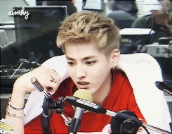  Q : Would you rather live like a king or an EXO member?  - Members who chose