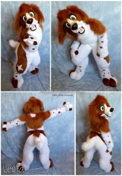 madebymercury:  A super cute spaniel for