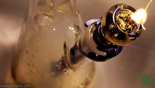 live-in-luxury:  bloodtype-thc:  weedporndaily:  blaze it   🍁  💎