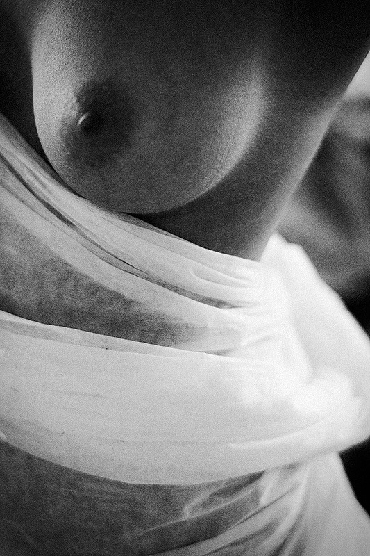 bluefadept:  … by Creatorz