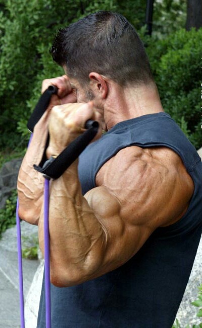 Muscle
