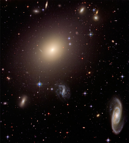 space-pics: Elliptical Galaxy ESO 325-G004 in Abell Cluster S0740 by Hubble Heritage