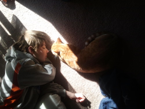 supernovadobe:  Because reasons  MY BABIES ARE SO CUUUUUUUUTTTEEEE!!! Seriously… my favorite 
