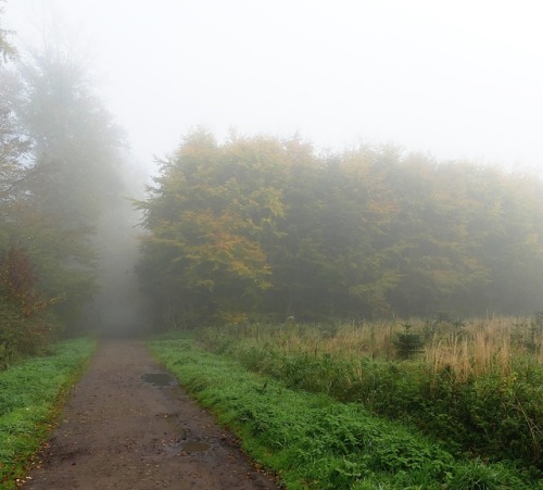 randomshadownow:The way to nothing.