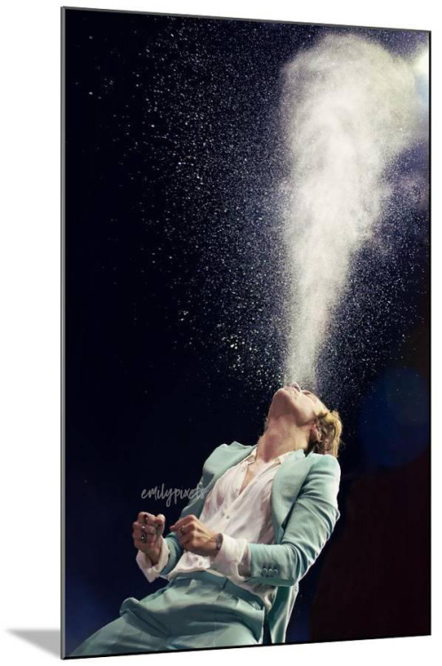 I am auctioning a framed print of one of my whale shots that I took during Harry’s tour last y