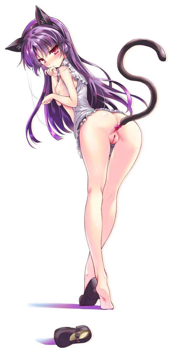 Sexy catgirls and stuff
