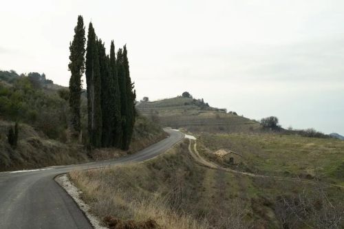 Xylokastro, Greece, 2022 #xylokastro #greece #peloponnese #landscape #road #cypress #countryside #ph