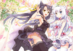 all of the adorable nekos