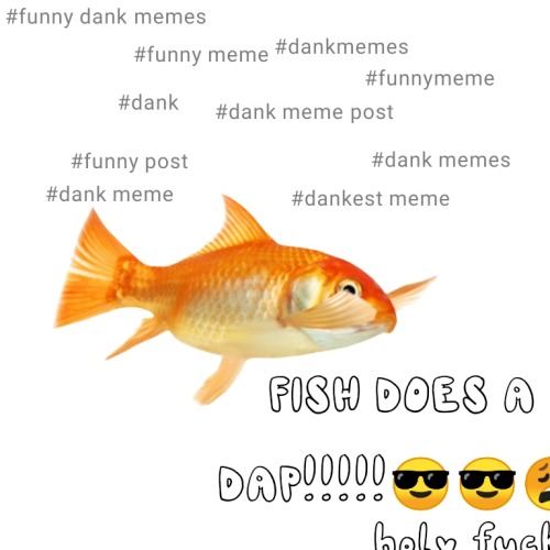 i-am-a-fish:  