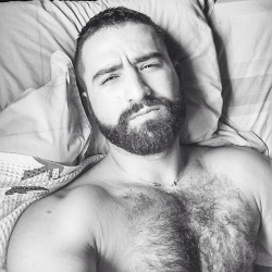 beardburnme:  jeffrsouza