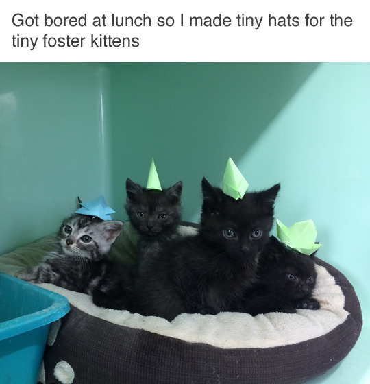 tastefullyoffensive:They love them. (via arterially)