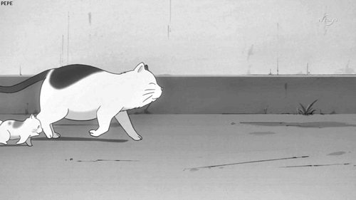 growlithex:  Decir que los gatos negros son de “mala suerte” también es racismo.
