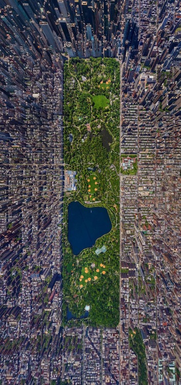 Porn Pics distraction:  Central Park from above 