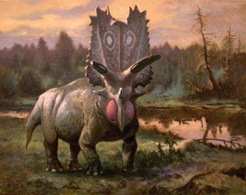 Pentaceratops sp.