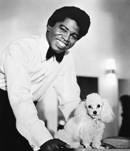 Sex James Brown would’ve turned 80 today. pictures