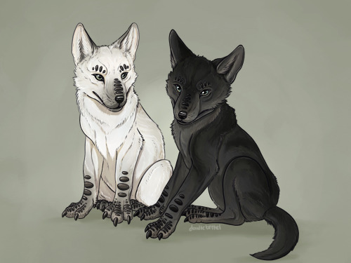 doodles-of-a-bethel:loth wolf pups!