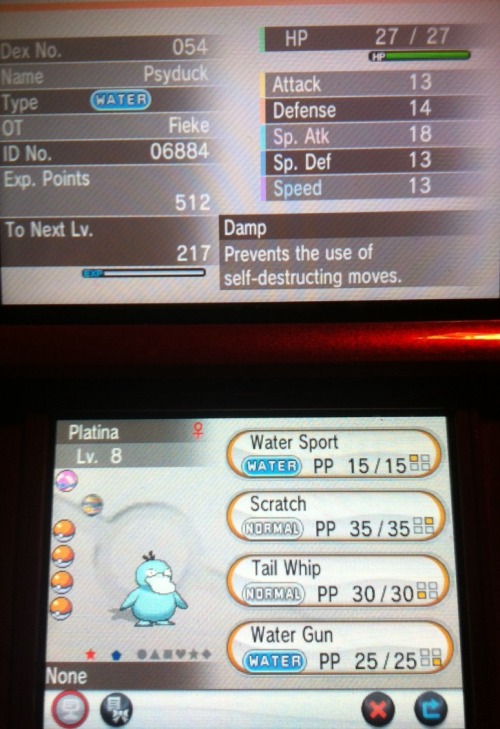 My first Y shiny, meet Platina~