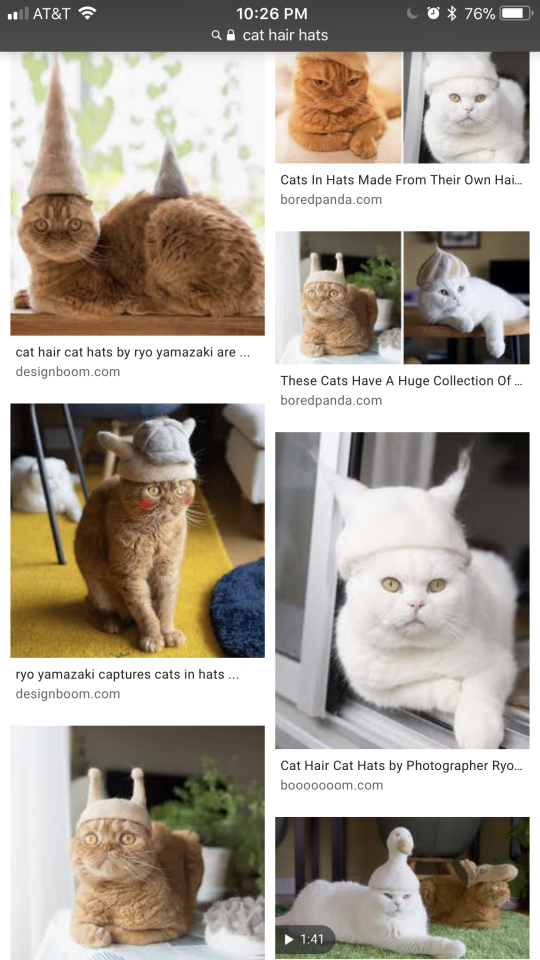 This week I learned about cat hair hats.