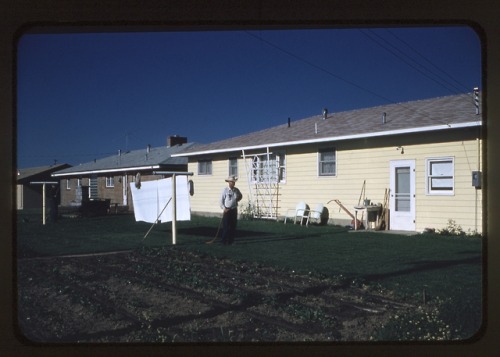 scanning my grandparent’s slide film for practice