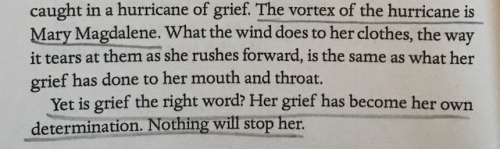 secifosseluce:the red tenda of bologna, john berger