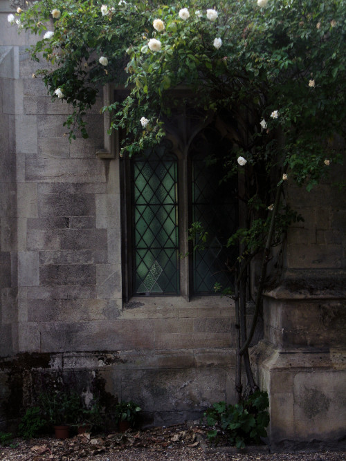 Porch and tree bySimon Webster