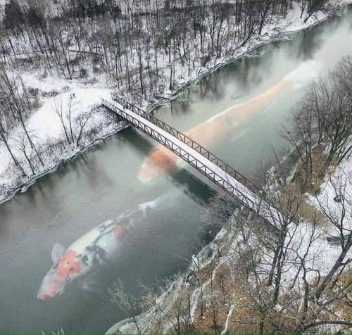 Fishing at Chernobyl