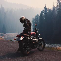 meet-me-beyond-the-pines:  Ducati urban enduro 