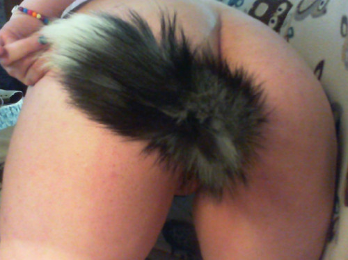 fuckedjustright:Perhaps another of my tail? ^_^