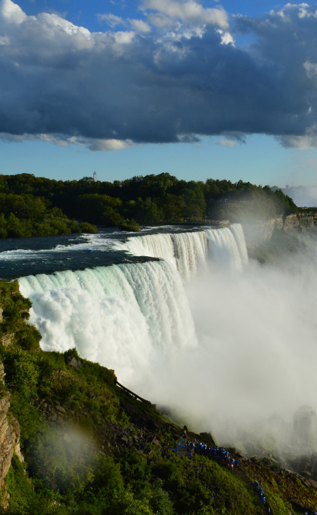 Sex honorings:  niagara falls.  - pictures