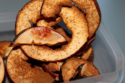 Apple-cinnamon-chips! Slice apples, sprinkle cinnamon and bake it in the oven! 