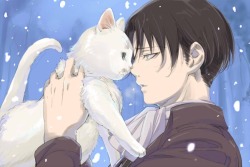 god-of-suburbia:  LEVI FUCKING ACKERMAN WITH CATS I AM CRYING 