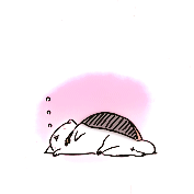 antheise: Natsume Yuujinchou Roku → Nyanko-sensei + breaks (^・ω・^ ) 