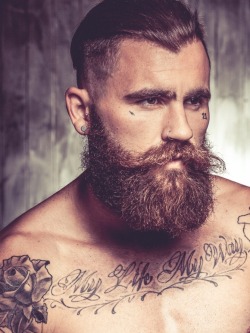  Chris Perceval   aiiiiiii mdls