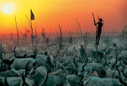 The Dinka People By  Carol Beckwith And Angela Fisher  