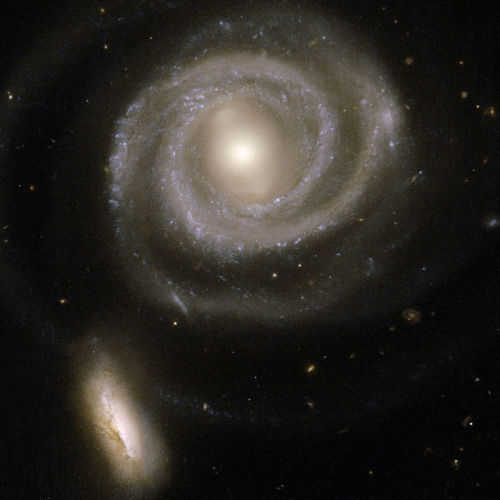 Porn photo the-wolf-and-moon:    Atlas of Peculiar Galaxies