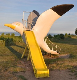 windwrinkle:  Seagull slide, Tawas City,