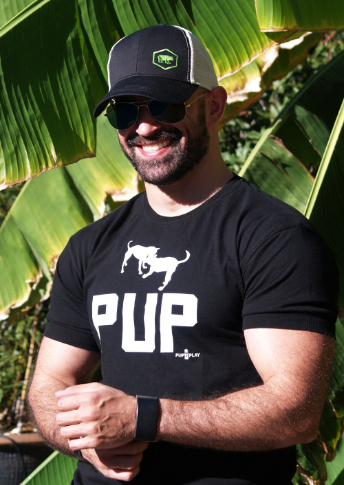 ajaxx63:  Pup Athletic Fit AS84 available from http://www.ajaxx63.com