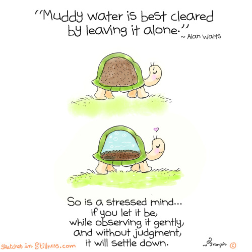 sketchesinstillness: Yogi Turtle-