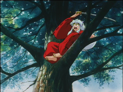 shitheaddog: Aesthetic Inuyasha in trees