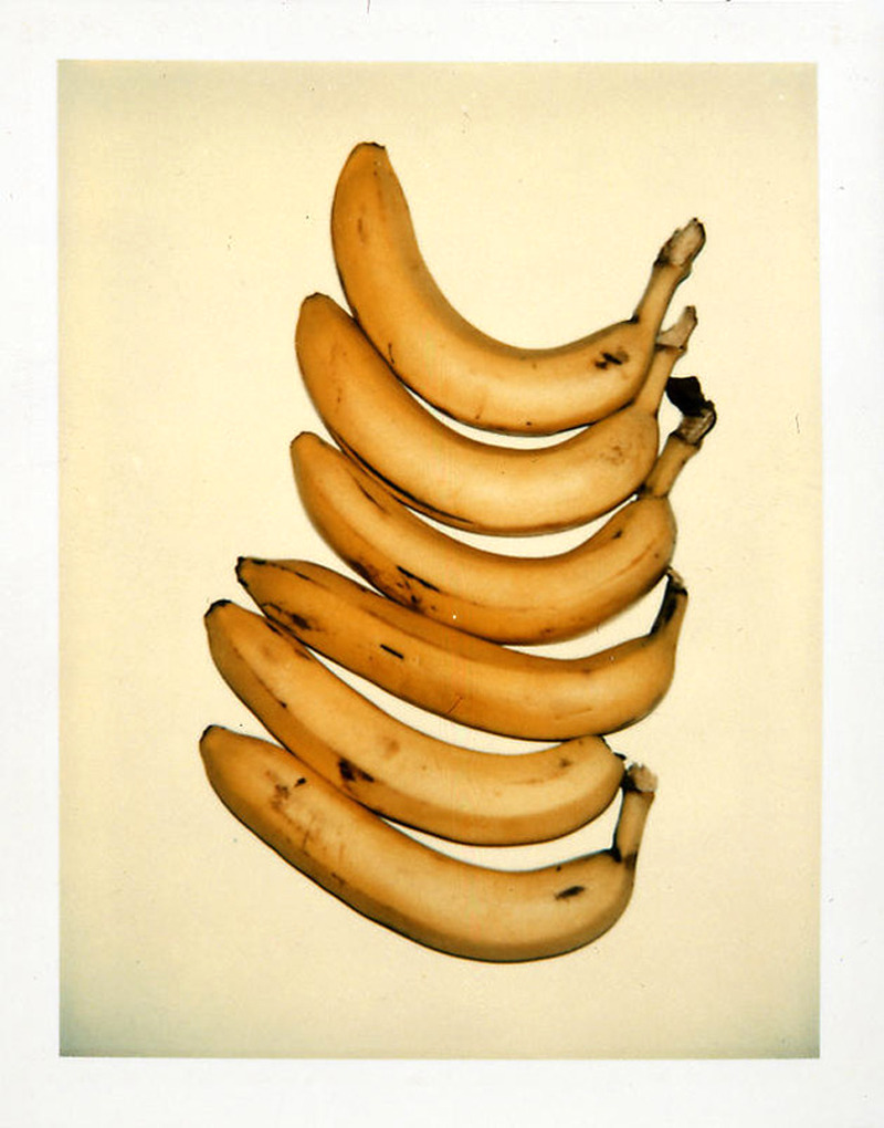 likeafieldmouse:  Andy Warhol - Still-life Polaroids (1977-83) “Warhol used photography