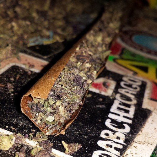 weedporndaily:  Blackberry kush Extendo 🙌💗 by @sirgoofy