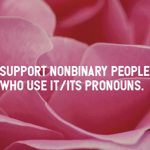 [Image Description: An up-close picture of pink rose petals with text that reads &ldquo;support 