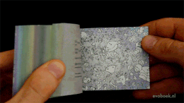 sixpenceee:  This is 500 million years of human evolution in a flipbook! (Source)