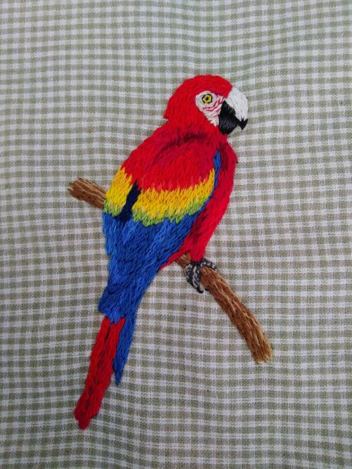 Hand-embroidered Rainbow Macawig: @beebordandoetsy: beebordandoDon’r remove caption