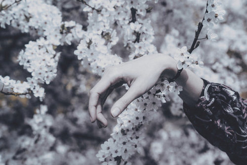 Your hands bent by desire will blossom with open fingers by Anna O. Photography 