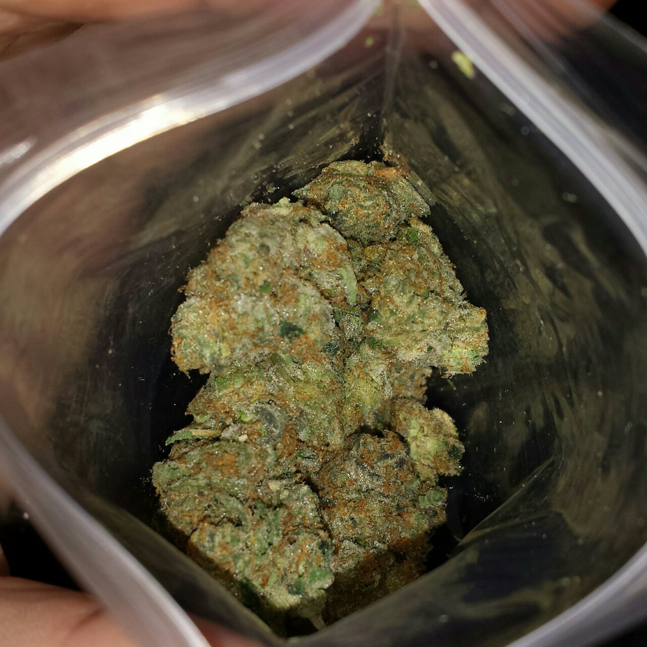 666-Grams