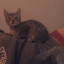 barrrbi