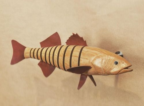 How the fishes swim?Here a way to explain an articulated boxwood seabass. Gràcies a: @mcngran